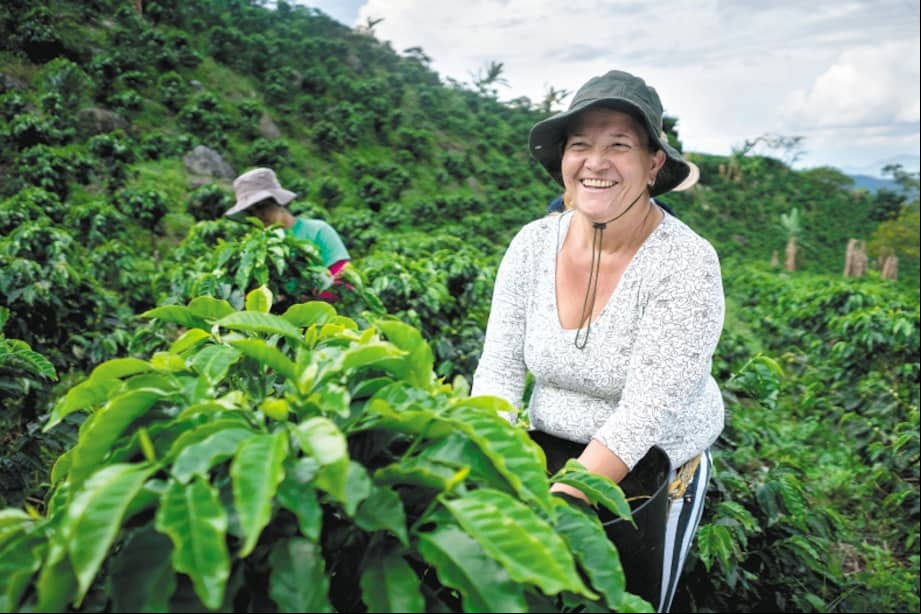 El café colombiano no es solo un producto de exportación: es una narrativa viva.