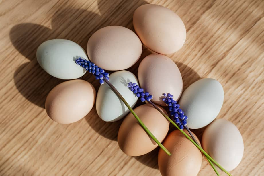 Receta: huevos con jamón en salsa de tres quesos ¡Qué delicia!