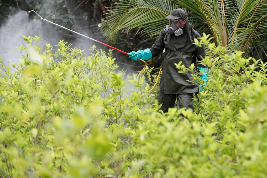 Fotografía de archivo fechada el 30 de diciembre de 2020 que muestra a un integrante de la Policía de Colombia fumigando un cultivo de coca durante una jornada de erradicación de cultivos ilícitos en zona rural de Tumaco. EFE/Carlos Ortega/ARCHIVO