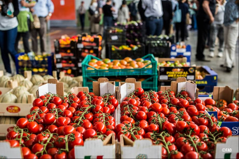Transformando los sistemas alimentarios urbanos para erradicar el hambre en América Latina y el Caribe.