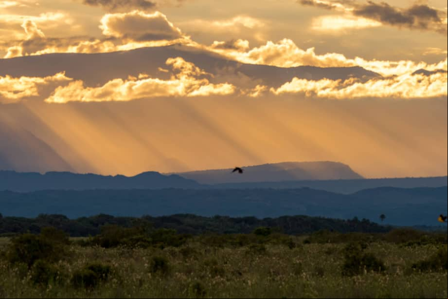 Esta característica distintiva de Casanare refleja una transformación en la conciencia colectiva de sus habitantes, quienes han transitado de un modelo de desarrollo exclusivamente extractivo hacia una visión más equilibrada que integra la conservación como componente esencial del progreso regional