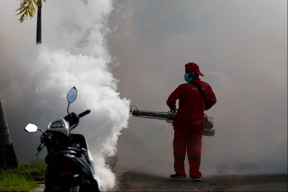 Imagen de referencia del control del mosquito Aedes aegypti.