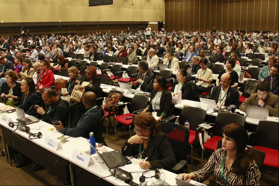 Plenaria final de la COP16 en Cali, el 2 de noviembre de 2024, que se suspendió por falta de quorum.