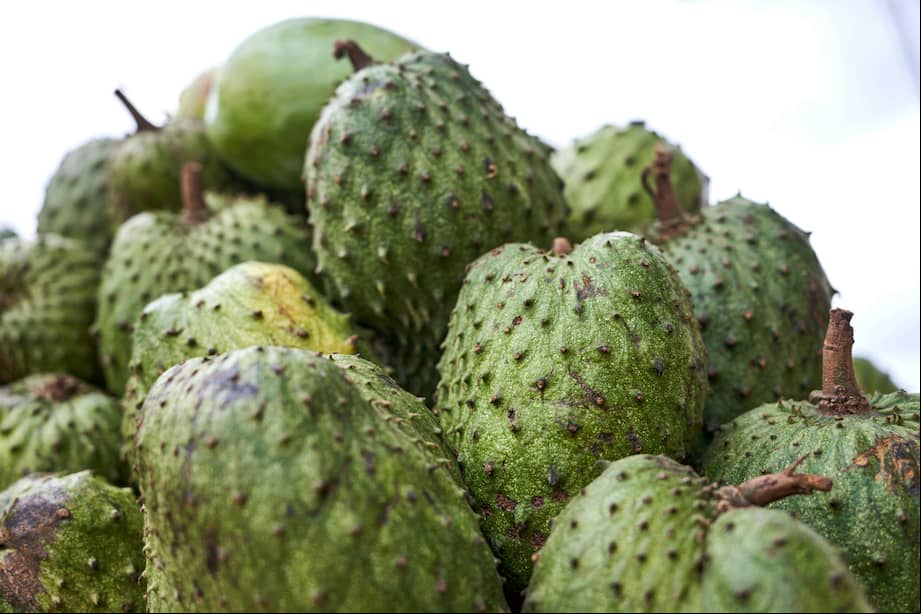 Desde 2020, los habitantes de la isla de Granada estaban en aprietos por una plaga que estaba afectando a los frutos del guanábano.