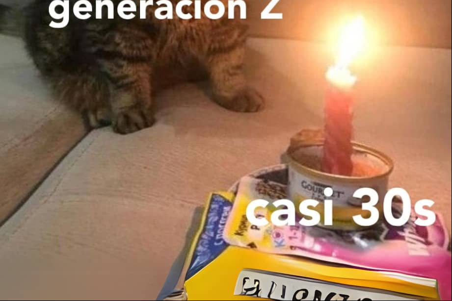 ZONA Z